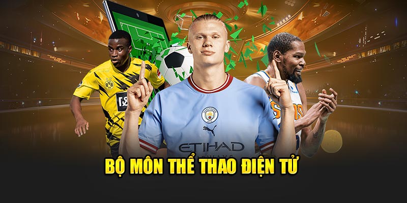 bo-mon-the-thao-dien-tu