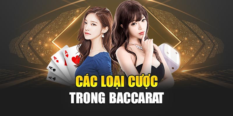 Các loại cược trong Baccarat