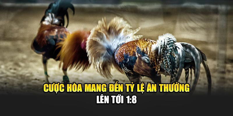 cuoc-hoa-mang-den-ty-le-an-thuong-len-toi-18