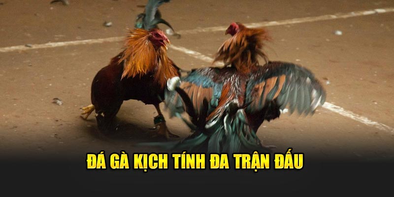 da-ga-kich-tinh-da-tran-dau
