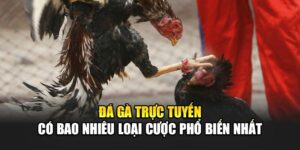 Đá Gà Trực Tuyến Có Bao Nhiêu Loại Cược Phổ Biến Nhất