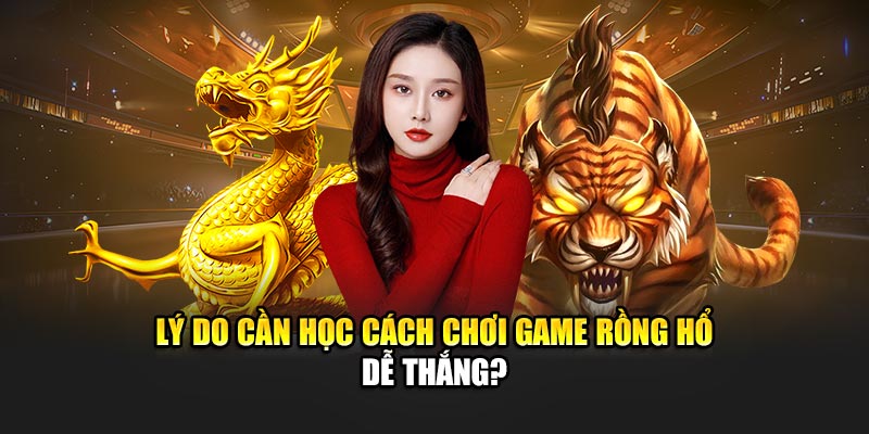Lý do cần học cách chơi game Rồng Hổ dễ thắng?