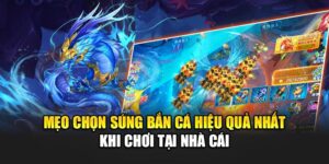 Mẹo Chọn Súng Bắn Cá Hiệu Quả Nhất Khi Chơi Tại Nhà Cái