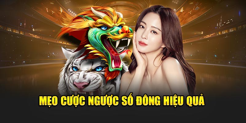 Mẹo cược ngược số đông hiệu quả