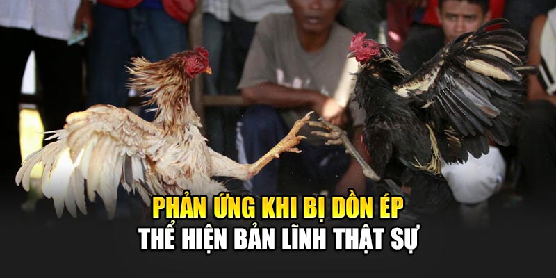 Phản ứng khi bị dồn ép thể hiện bản lĩnh thật sự